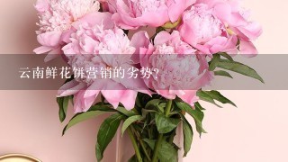 云南鲜花饼营销的劣势？