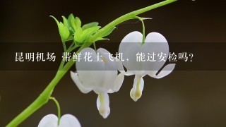 昆明机场 带鲜花上飞机，能过安检吗？