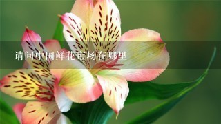 请问中国鲜花市场在哪里