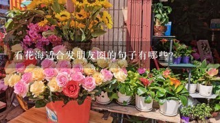 看花海适合发朋友圈的句子有哪些？