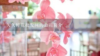 久久鲜花批发网的公司简介