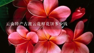 云南特产古渡云花鲜花饼多少钱