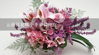 云南鲜花哪个季节最便宜