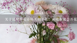 关于昆明鲜花市场买的干花，说喷水就会开花，干了就