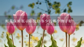 鲜花保鲜展示柜价格多少钱哪个牌子好