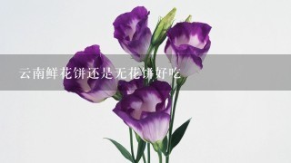 云南鲜花饼还是无花饼好吃