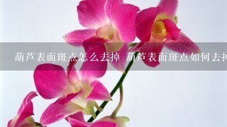 葫芦表面斑点怎么去掉 葫芦表面斑点如何去掉