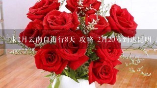 求2月云南自由行8天 攻略 2月20号到达昆明 求热心详细些 第一次自己出去 最好有客栈推荐和行程安排