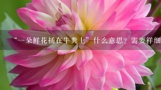 “一朵鲜花插在牛粪上”什么意思？需要祥细的答案比较让人懂的答案！