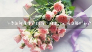 与传统鲜花生产国荷兰相比，云南发展鲜花产业最大的优势是( )