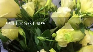 中国十大名花有哪些