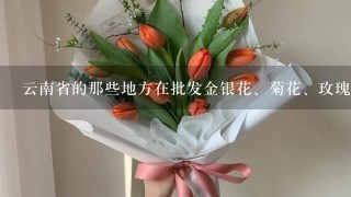 云南省的那些地方在批发金银花、菊花、玫瑰花、茉莉