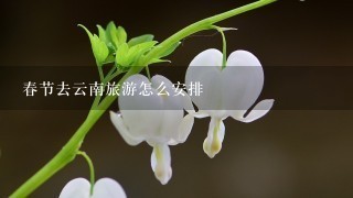 春节去云南旅游怎么安排