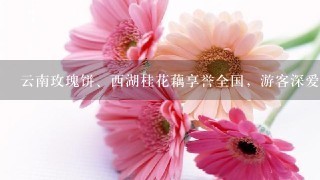 云南玫瑰饼、西湖桂花藕享誉全国，游客深爱的鲜花美