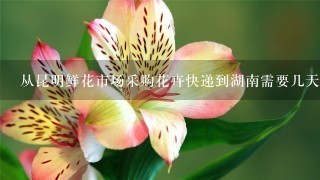 从昆明鲜花市场采购花卉快递到湖南需要几天时间？