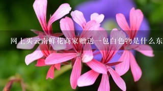 网上买云南鲜花商家赠送一包白色物是什么东西干什么