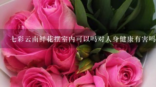 七彩云南鲜花摆室内可以吗对人身健康有害吗