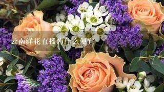 云南鲜花直播为什么便宜