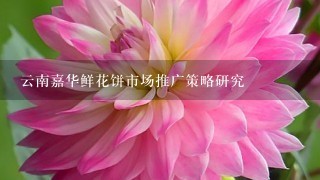 云南嘉华鲜花饼市场推广策略研究