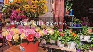 云南鲜花饼的原料主要是哪种花