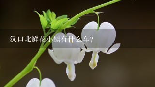 汉口北鲜花小镇有什么车?