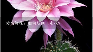 爱尚鲜花：如何从网上卖花？