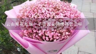 云南鲜花基地一手货源花间密码怎么样