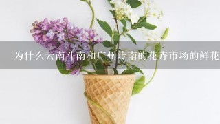 为什么云南斗南和广州岭南的花卉市场的鲜花交易要在凌晨两点到早上七八点？