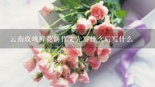 云南玫瑰鲜花饼作文先写什么后写什么