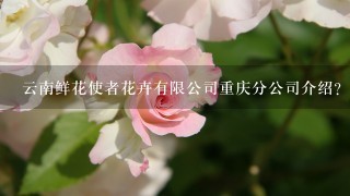 云南鲜花使者花卉有限公司重庆分公司介绍？