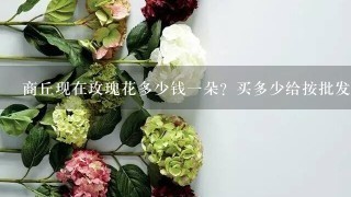 商丘现在玫瑰花多少钱一朵？买多少给按批发价？