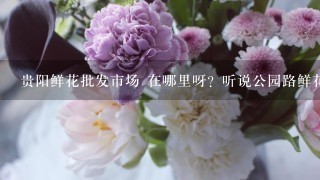 贵阳鲜花批发市场 在哪里呀？听说公园路鲜花超市的