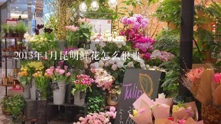 2013年1月昆明鲜花怎么很贵