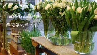 鲜花怎么样入菜