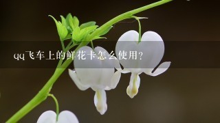 qq飞车上的鲜花卡怎么使用？