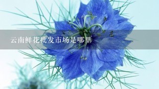 云南鲜花批发市场是哪里