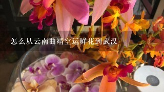 怎么从云南曲靖空运鲜花到武汉