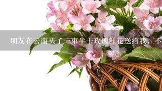 朋友在云南买了一束半干玫瑰鲜花送给我，不知怎样保养时间会长些，应该注意些什么?