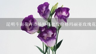 昆明斗南花卉市场鲜花批发价格玛丽亚玫瑰花多少钱每