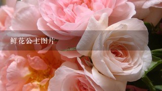 鲜花公主图片