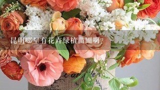 昆明哪里有花卉绿植苗圃啊？