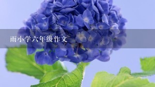 雨小学六年级作文