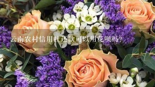 云南农村信用社还款可以用花呗吗？