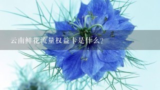 云南鲜花流量权益卡是什么？