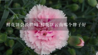 鲜花饼会长胖吗 鲜花饼云南哪个牌子好