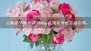 云南嘉华鲜花饼3000亩玫瑰花种植基地在哪，我在网上查了查大概在曲靖市马龙县，求具体位置，要离昆明