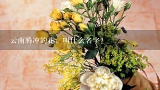 云南腾冲的花，叫什么名字？