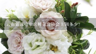 云南霜冻哈尔滨鲜花价格会上调多少?