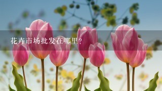 花卉市场批发在哪里?