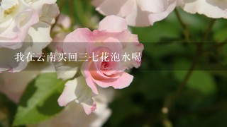 我在云南买回三七花泡水喝